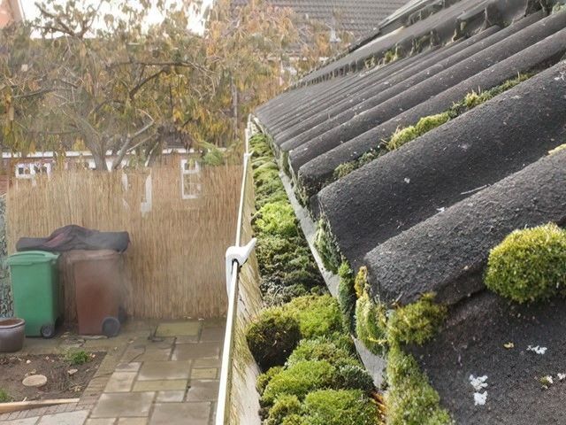 Gutter Cleaning